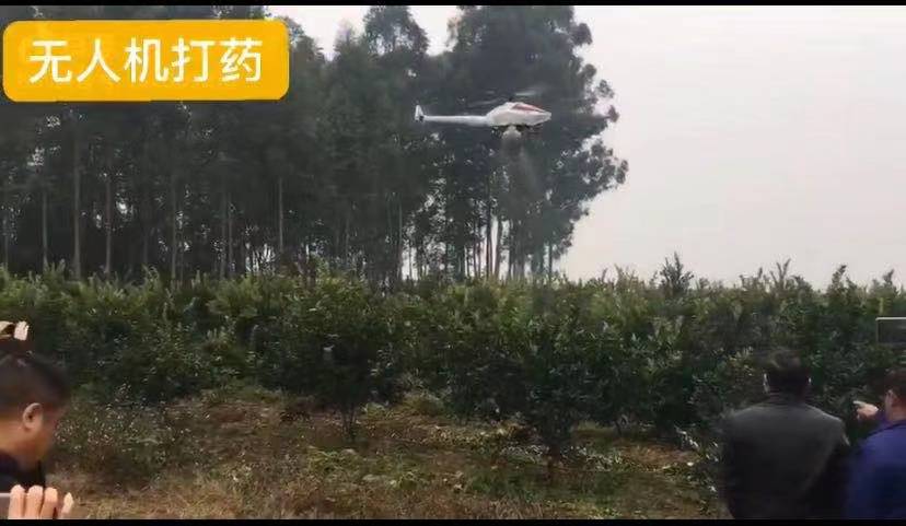 飞机打药.jpg