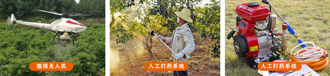 植保.jpg
